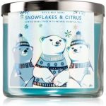 Bath & Body Works Snowflakes & Citrus lumânare parfumată I.