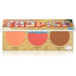 theBalm Voyage Tropics autobronzant și blusher
