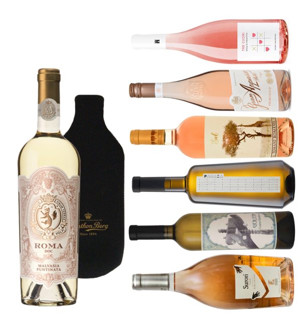 Party Box 7 DAYS & 7 WINES