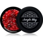 Jungle Way Hibiscus Frankincense Oud Bakhoor suporturi pentru ars tămâie