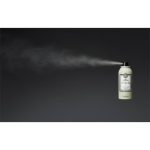 Maria Nila Style & Finish Dry Shampoo sampon uscat par volumizare fara sulfati
