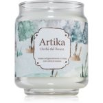 FraLab Artika Occhi Del Bosco lumânare parfumată