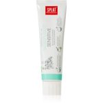 Splat Professional Sensitive pasta de dinti pentru dinti sensibili