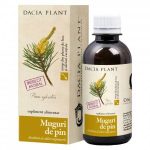 Dacia Plant Muguri de pin sirop, 200 ml