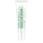 Mario Badescu Rose Lip Balm balsam de buze ultra nutritiv cu aromă de trandafiri