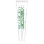 Mario Badescu Mint Lip Balm balsam de buze ultra nutritiv