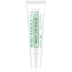 Mario Badescu Mint Lip Balm balsam de buze ultra nutritiv