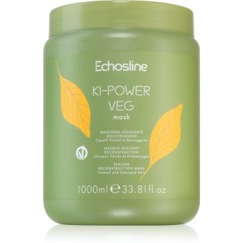 Echosline Ki-Power Veg Mask masca pentru regenerare pentru par deteriorat