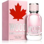 Dsquared2 Wood Pour Femme Eau de Toilette pentru femei