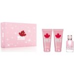 Dsquared2 Wood Pour Femme set cadou pentru femei