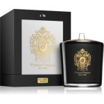 Tiziana Terenzi Almond Vanilla lumânare parfumată cu fitil din lemn