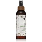 Diego dalla Palma Anti Frizz spray care nu necesita clatire anti-electrizare