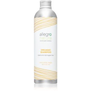 Allegro Natura Organic sampon pentru stralucirea si tonifierea parului vopsit