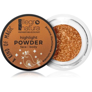 Allegro Natura A Kind of Magic pudra pentru luminozitate pentru față și ochi