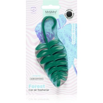 Mr & Mrs Fragrance Forest Cedar Wood parfum pentru masina (Green Fern)