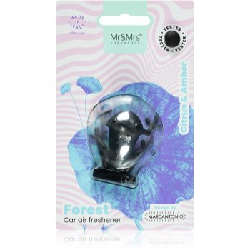 Mr & Mrs Fragrance Forest Citrus & Amber parfum pentru masina (Black Frog)