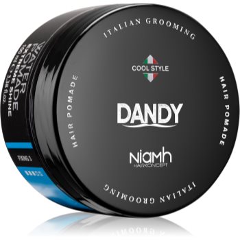 DANDY Water Pomade Extreme Shine alifie pentru par