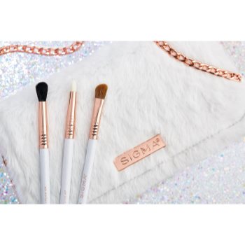 Sigma Beauty Brush Set Magical Eye set de pensule cu geantă