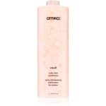 amika Vault Balsam colorant
