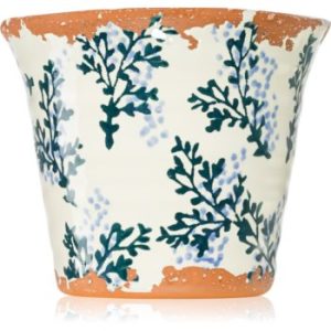 Wax Design Garden Blue Citronella lumânare parfumată