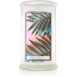 Kringle Candle Gingerlily & Palm lumânare parfumată