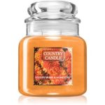 Country Candle Golden Mums & Honey Crisp lumânare parfumată