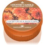 Country Candle Golden Mums & Honey Crisp lumânare