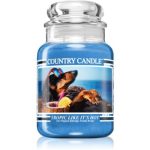 Country Candle Tropic Like It´s Hot lumânare parfumată