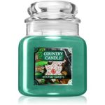 Country Candle Holiday Sweets lumânare parfumată