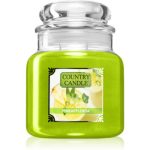 Country Candle Pineapplerita lumânare parfumată