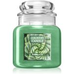 Country Candle Spiral Aloe lumânare parfumată