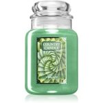 Country Candle Spiral Aloe lumânare parfumată