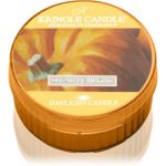 Kringle Candle Sugar Pumpkins lumânare