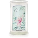 Kringle Candle Botanicals lumânare parfumată