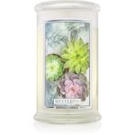 Kringle Candle Succulents lumânare parfumată