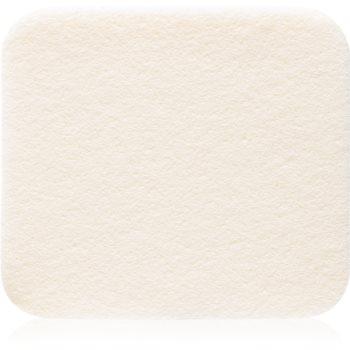 Elizabeth Arden Flawless Finish burete pentru machiaj