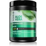 Dr. Santé Aloe Vera masca de restructurare cu aloe vera