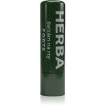Herbadent Forte balsam de buze