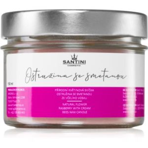 SANTINI Cosmetic Blackberry with Cream lumânare parfumată