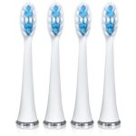 Magnitudal MagniSwift MQ862 capete de schimb pentru periuta de dinti