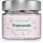 Tropicandle Plum, Rose & Patchouli lumânare parfumată