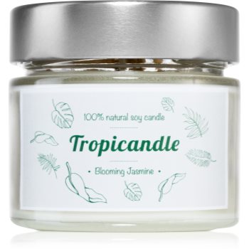 Tropicandle Blooming Jasmine lumânare parfumată