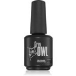Grey Owl Primer lac intaritor de baza pentru unghii cu utilizarea lămpii UV/LED