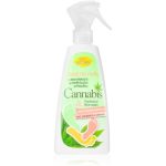 Bione Cosmetics Cannabis deodorant pentru picioare