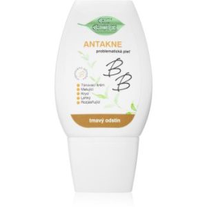 Bione Cosmetics Antakne crema BB matifianta