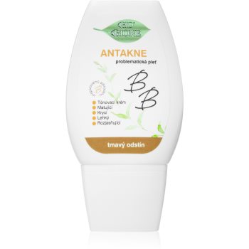 Bione Cosmetics Antakne crema BB matifianta
