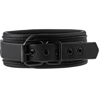 Dream Toys Blaze Collar and Leash zgardă cu lesă