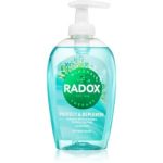 Radox Protect + Replenish Săpun lichid pentru mâini