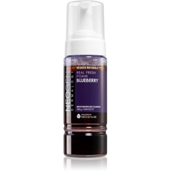 Neogen Dermalogy Real Fresh Blueberry crema hidratanta pentru curatare