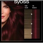 Syoss Oleo Intense Culoare permanenta pentru par cu ulei